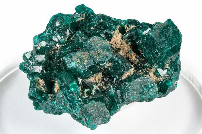 Sparkly Emerald-Green Dioptase Crystal Cluster - Congo #347855